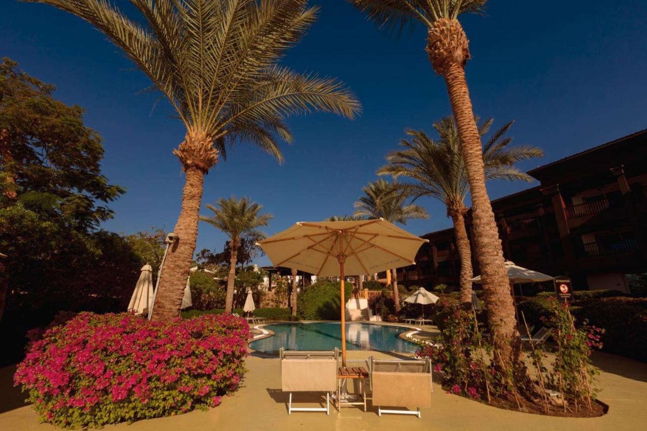 Hotel Royal Savoy Sharm El Sheikh (Adults Only) Exterior foto The pool at the Hilton Sharm El Sheikh